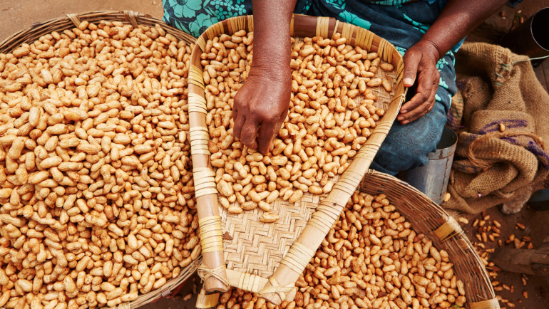 Groundnut Recipe Exhibition